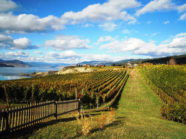 10 Must-try Wines From the Naramata Spring Release