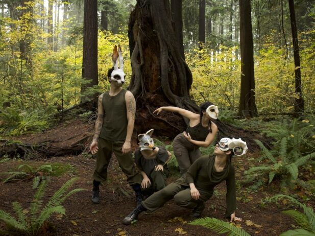 a group of 4 dancers in dancing poses in the woods