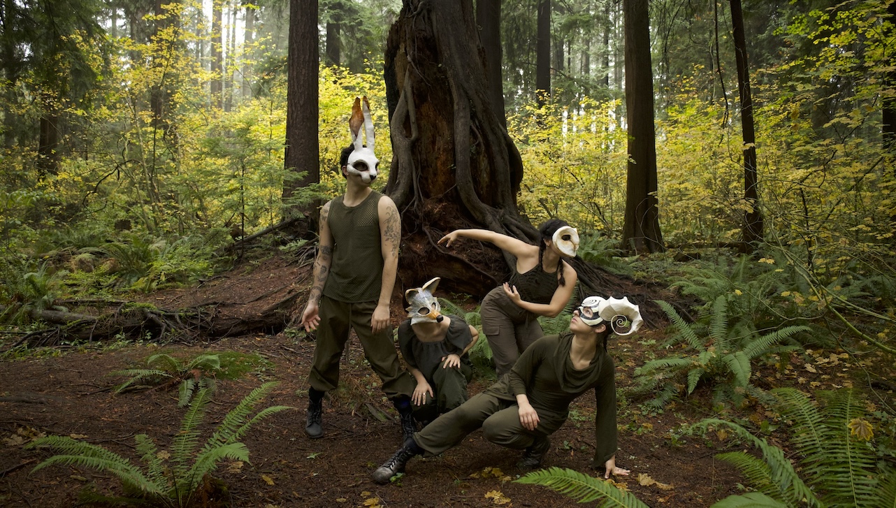 a group of 4 dancers in dancing poses in the woods