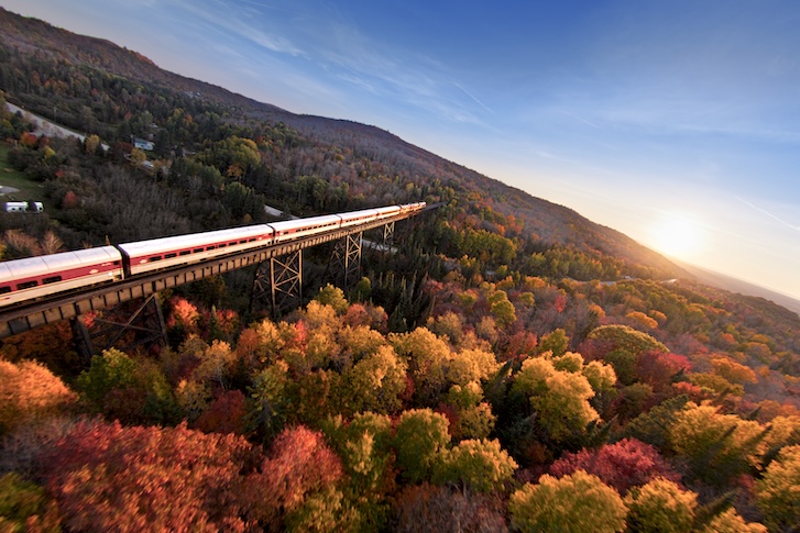 a huge blue skyview meeting a huge forest with colorful trees and a train on an elevated train track