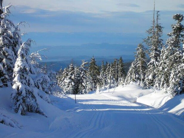 7 Reasons to Visit the Sunshine Coast in the Winter