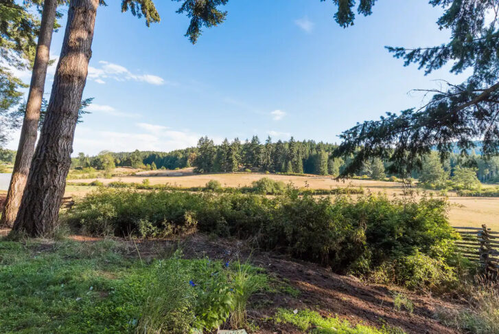 an organic farm