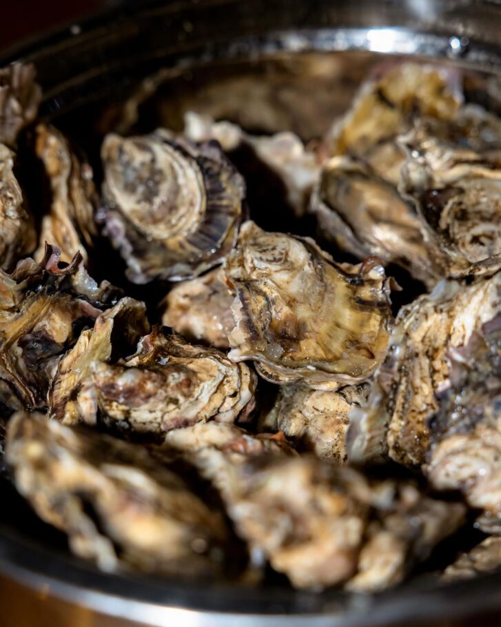 Oysters