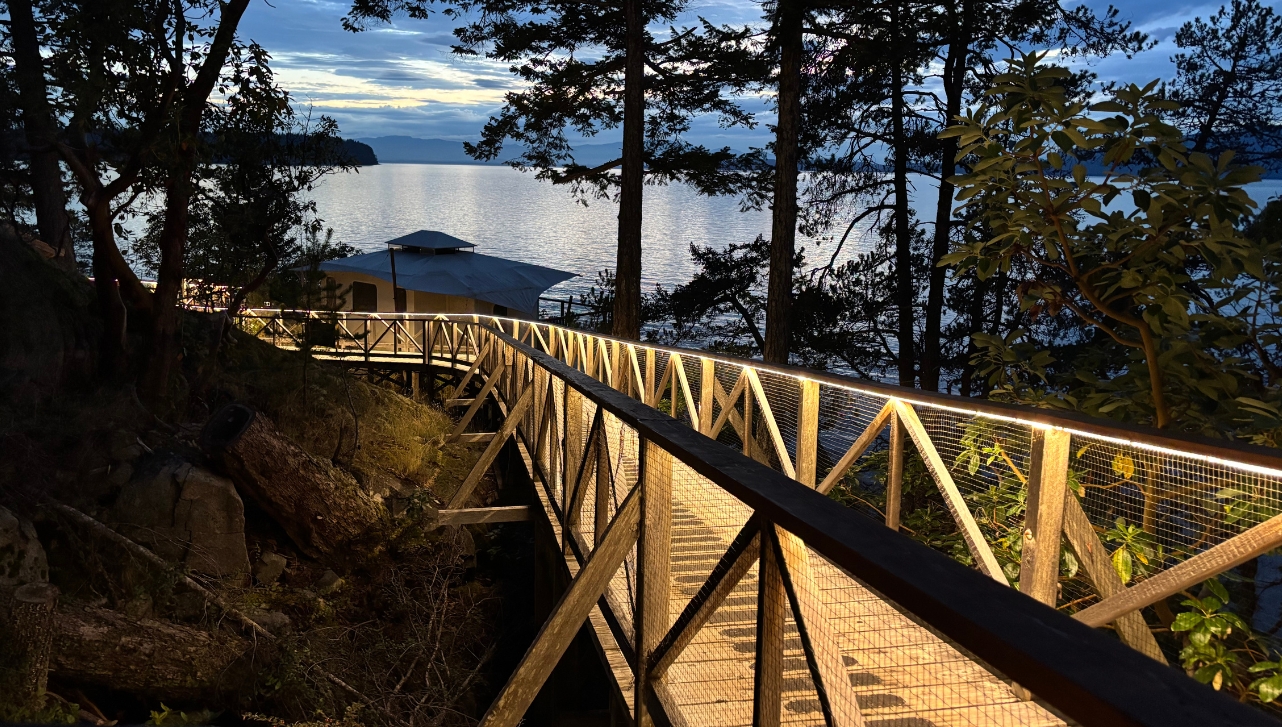 a lit treetop boardwalk at the sunshine coast