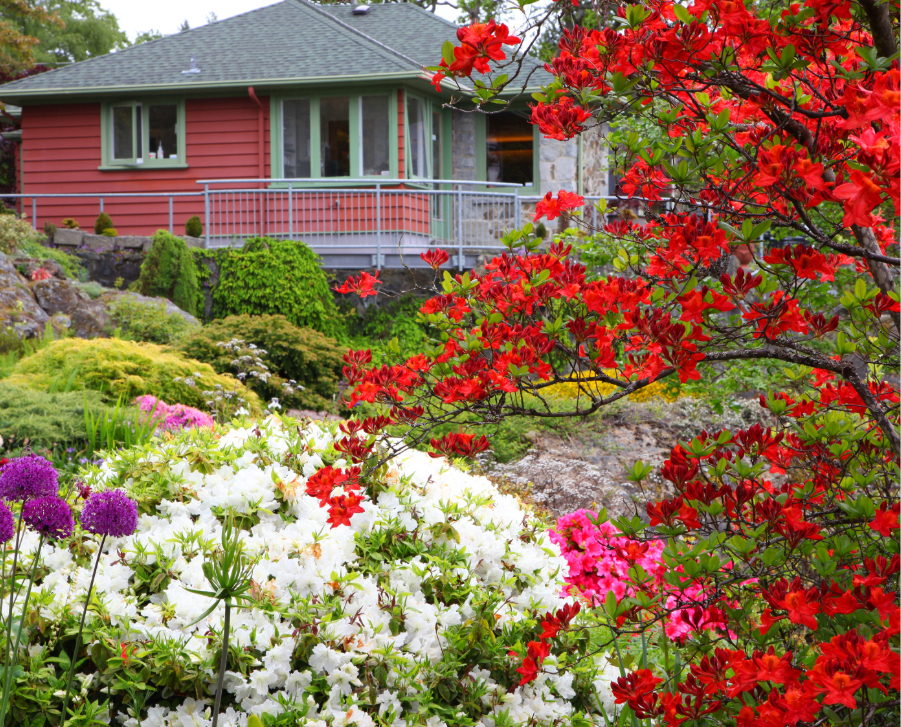 the Abkhazi gardens and house in Victoria