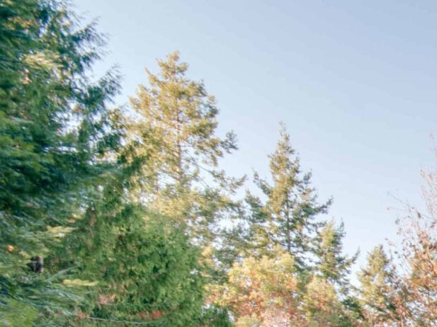 Picture Yourself Here: 9 Airbnb Gems in B.C.