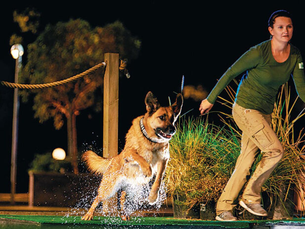 America’s Top Dog Races Back to TV