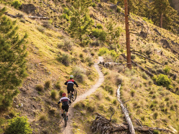 The Ultimate B.C. Summer Staycation Guide 2022