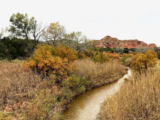 Wander Through The Hidden Wonders of Western Texas