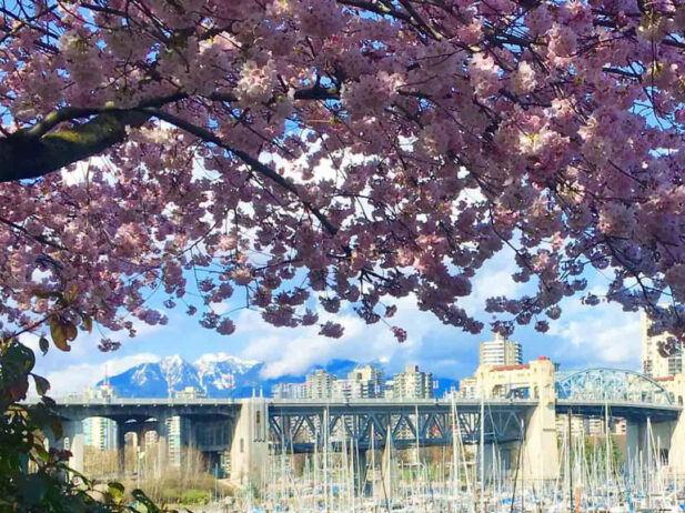 Vancouver Adventures: Our Picks for April 6 to 12