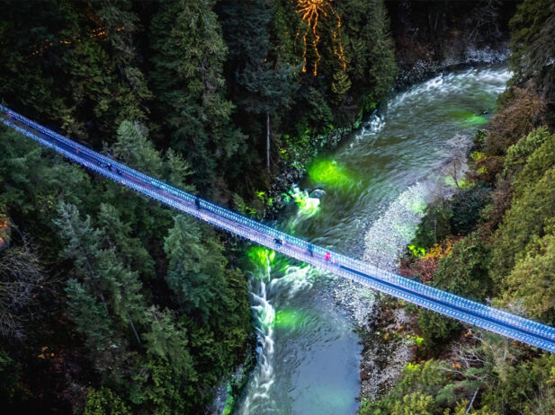 B.C. Bucket List: Experience the Canyon Lights at Capilano Suspension Bridge