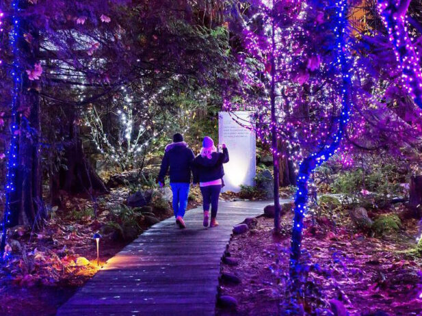 The Ultimate Holiday 2018 Event Guide