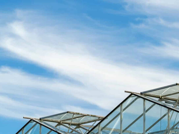 Tapping Science and Innovation to Meet Canada’s New Cannabis Market