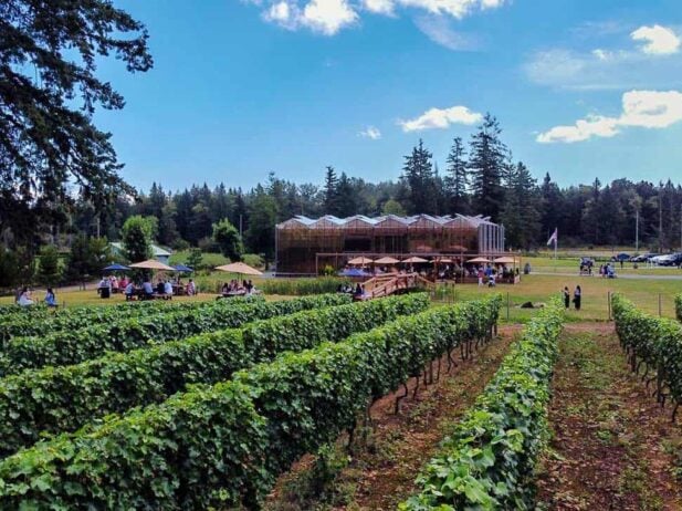 4 Things to do in Langley to Bring Your European Vacation to Life