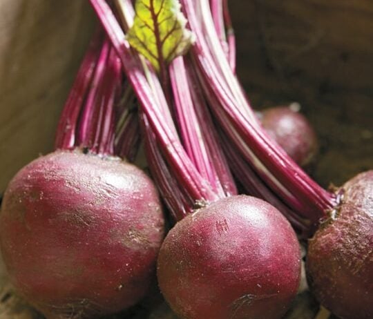 Beet Burger Recipe