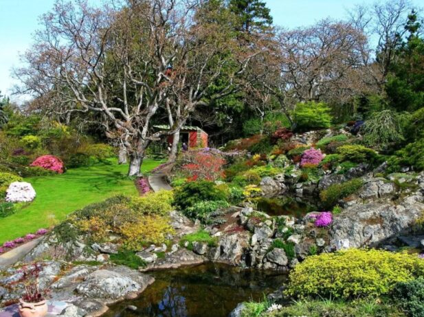 a beautiful green garden with various trees, colorful flowers, and small rocky ponds