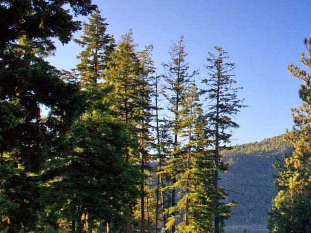 Enjoy A Dream Golf Getaway in Kamloops This Fall