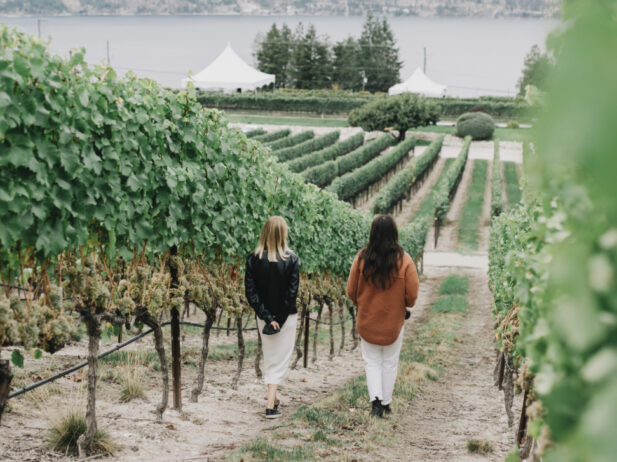 Protected: Your 2025 Kelowna Fall Winery Picks for Every Occasion