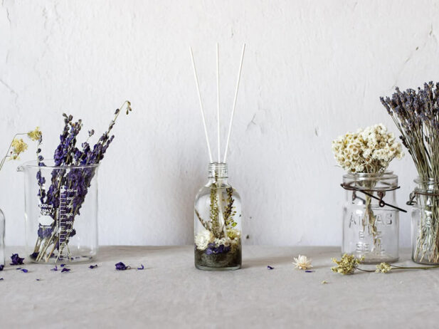 Gifting a Sweet Flower Dream