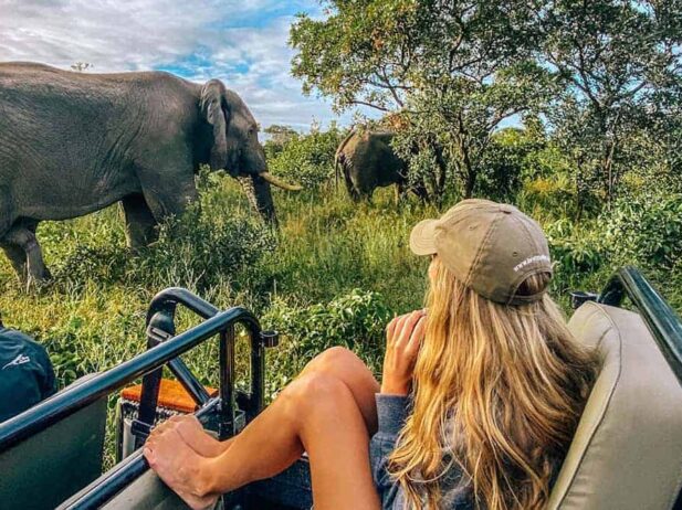 Why a Safari Should be Your First Big Post-pandemic Trip