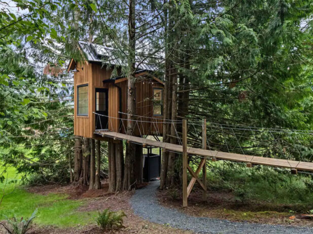Local Getaway: The Birdhouse Treehouse in Chilliwack