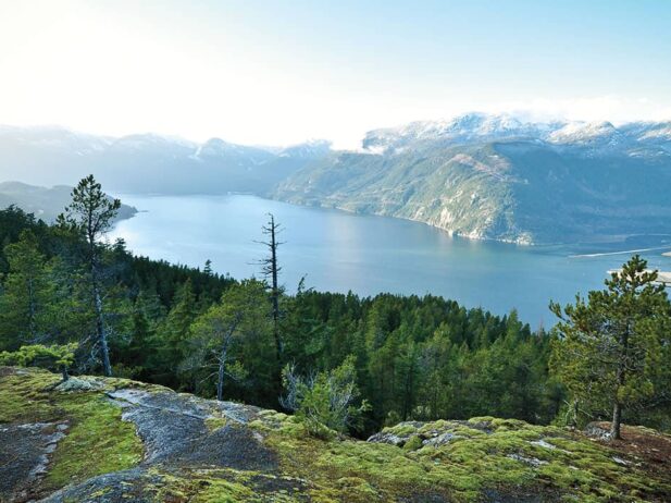 5 Great Family-friendly Hikes Near Vancouver