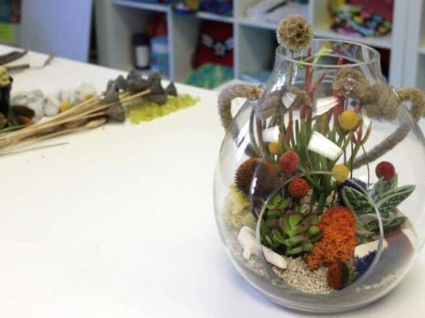 DIY: Fall Succulent Terrarium