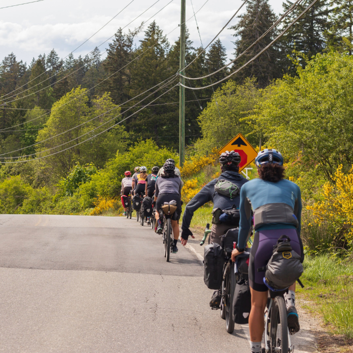 A group of bikers with the Vancouver Island Bikepack Collective biking along the side of the road