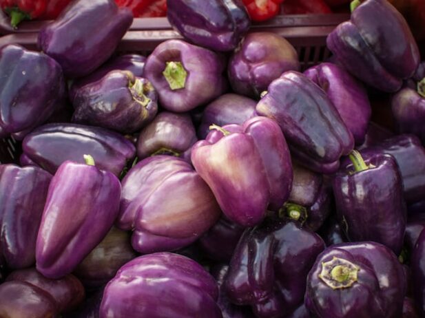 Vancouver Farmers Markets 2014