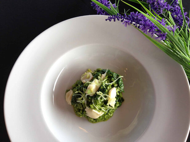 Nettle Risotto and Spring Salad Recipes