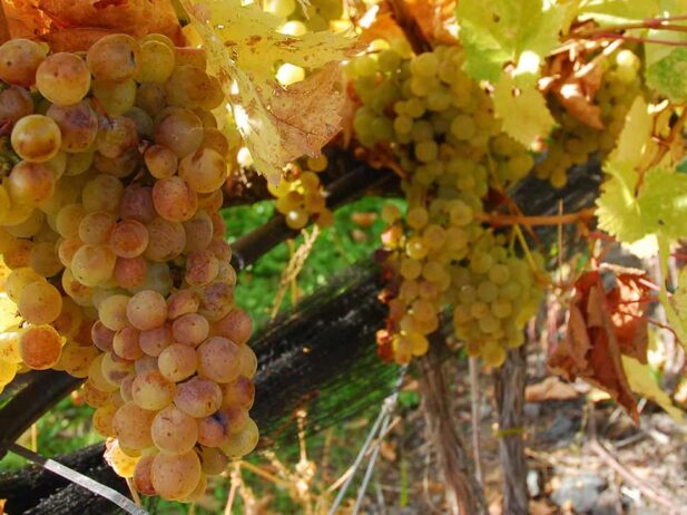 8 Ways to (Re)discover Kamloops and Sun Peaks This Fall