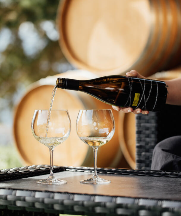 chardonnay being poured into one of two wine glasses on a table with barrels in the background