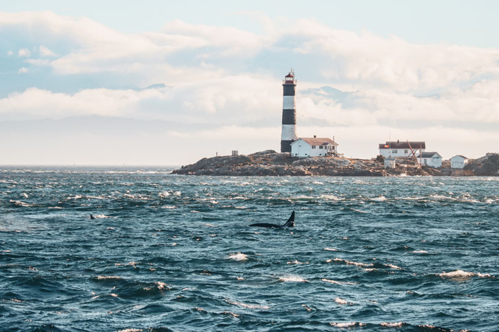 a far view of a lighthouse from the sea