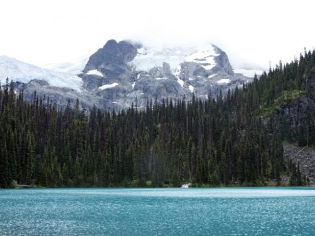 10 Reasons to Visit Pemberton This Summer