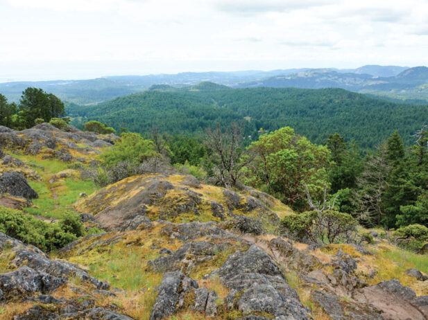 The Ultimate B.C. Staycation Guide: Hiking Mount Work