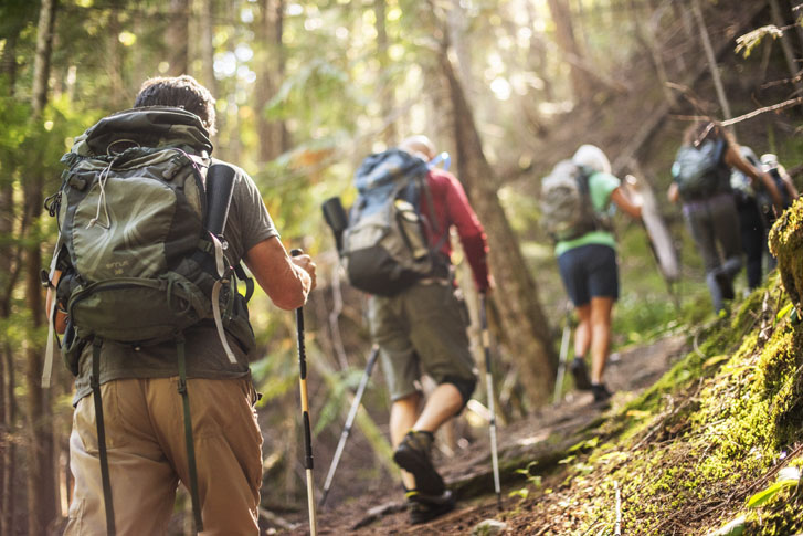 men and women in hiking clothes, bag packs, and hiking sticks, walking up a hilly rainforest with trees