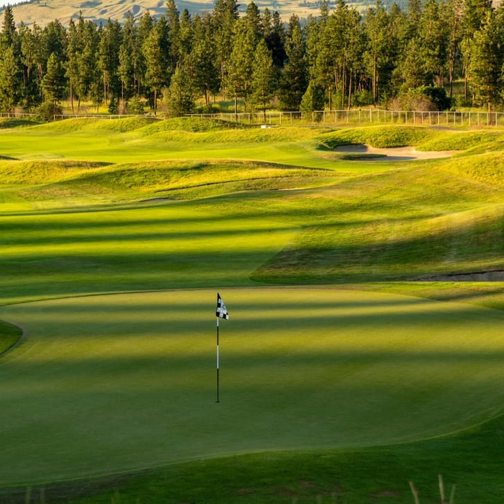 hole with flag on the okanagan golf club course