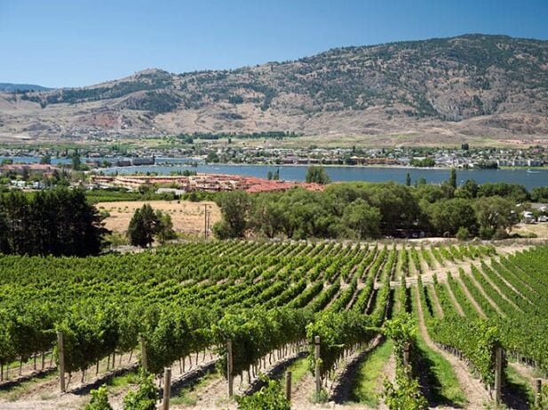 You Don’t Have to Be A Wine Expert to Love Osoyoos