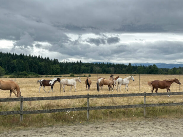 How to Enjoy a Three-Day Vancouver Island Getaway to Nanoose Bay