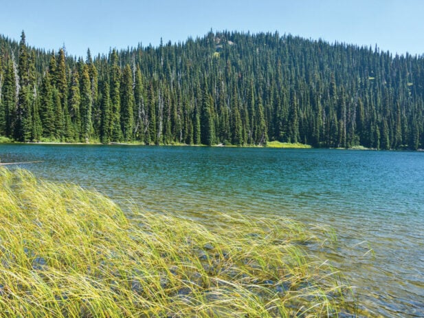 The Ultimate B.C. Staycation Guide: Poland Lake Hike