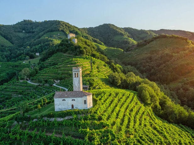 Not All Prosecco Is Created Equal