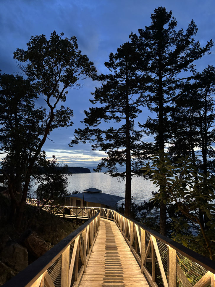 a lit treetop boardwalk at the sunshine coast