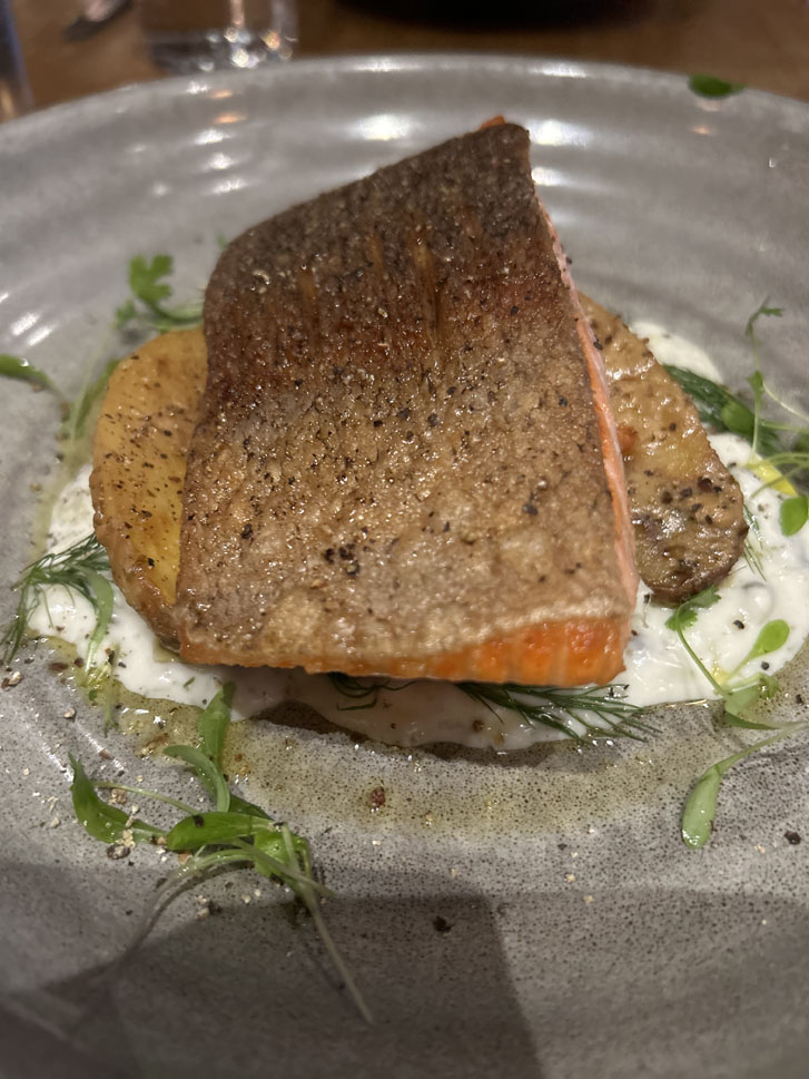 a piece of cooked salmon on Greek lemon potatoes and tzatziki on a transparent plate