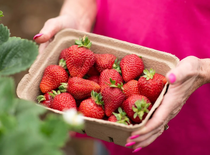 person holding strawberries