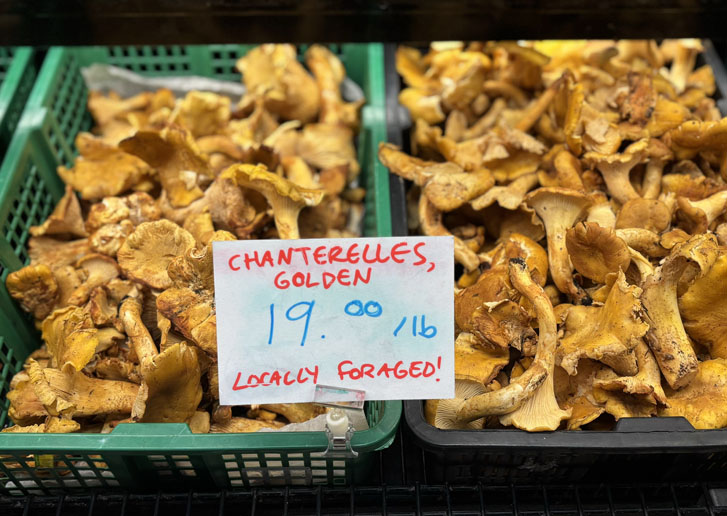 locally foraged golden chanterelles