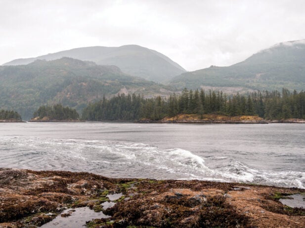 B.C. Winter Staycation Guide 2023: Indigenous-led Tourism on the Sunshine Coast