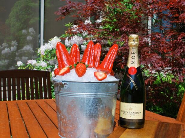 Strawberry Champagne Popsicle Recipe