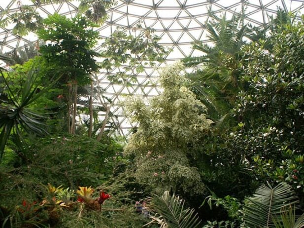Indoor Summer Experiences Around Vancouver