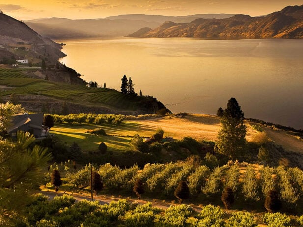 B.C. Wine 101: Summer 2017 Edition