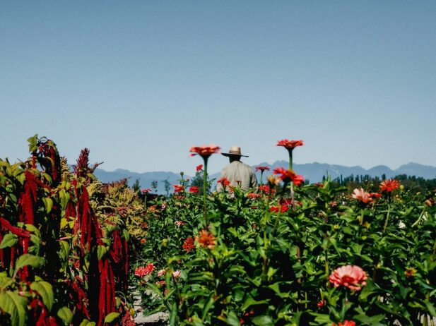7 Things to Do in B.C. This June